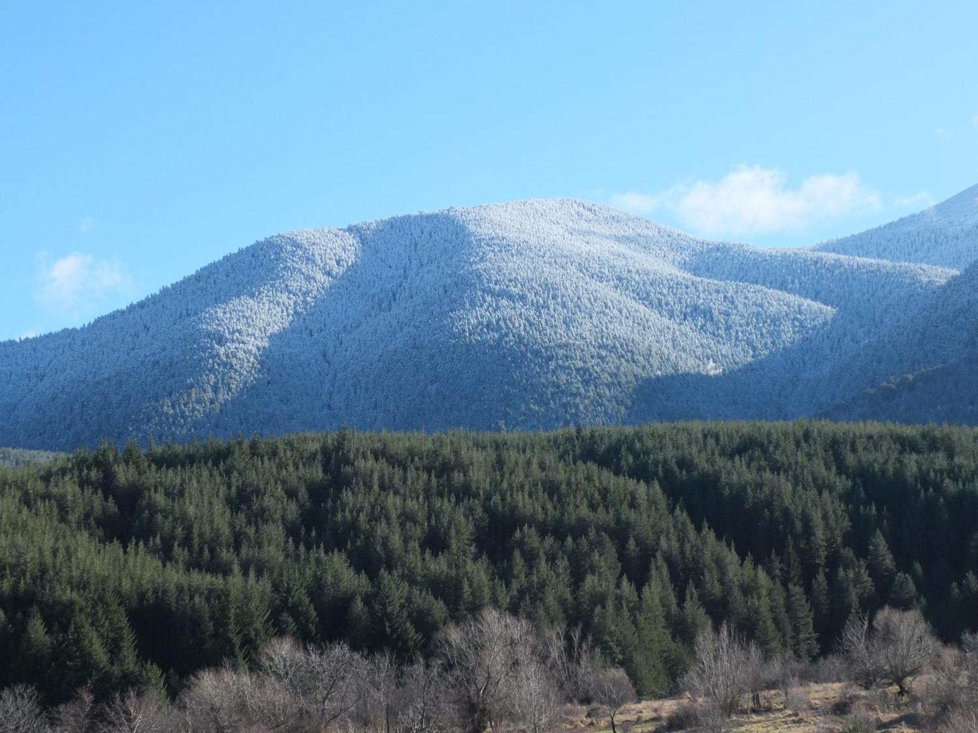 Pirin Heights A-21 Близо До Ски Пистата Bansko Esterno foto